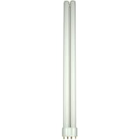 EIKO Lamp, Compact Fluorescent, CFL, T-5 Bulb, GX11 Base, 36W, Duo-Tube, 4100K Color Temp