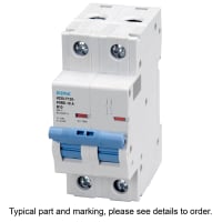 E-T-A Circuit Protection and Control Circuit Breaker Miniature C Curve DIN Rail UL1077 277/480V 120VAC 60VDC 2P 10A