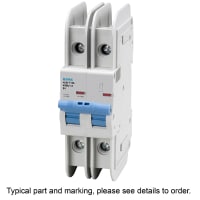 E-T-A Circuit Protection and Control Circuit Breaker Miniature D Curve DIN Rail UL489 277/480V 120VAC 60VDC 2P 25A