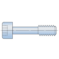 Ewellix Special assembly screw;LWGD 6