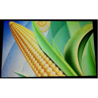 Focus Display Solutions Display; LCD; TFT Module; 5.0 in.TFT; 800x480(120.7x75.85); White LED