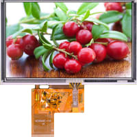 Focus Display Solutions TFT Display; 5 inch; 800x480; 16/18/24 bit RGB interface