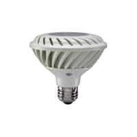 GE Lighting - LEDs / Lamps LED Lamp, Directional Replacement, PAR30 Bulb, 12 Watt, Indoor Floodlight