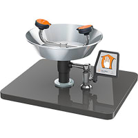 Guardian Equipment Eye and Face Wash Station, Wall Mounted, with Stainless Steel Bowl and Cover