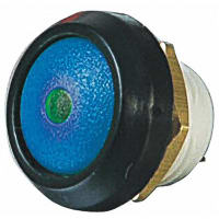 ITW Switches Push Button Switch, IP67, SPST-NO, Panel Mount, Momentary, Illuminated Green LED, 