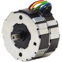 Johnson Electric Motor, Rotary Synchronous: Two Coils, 12 Poles, 110V, 60Hz, Reversible