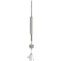 JUMO JUMO FOODtemp Insertion RTD Temperature Probe