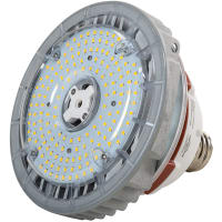 Keystone Technologies 60W, 8100 Lumen, 200W MH Equiv., 5000K, IP40, Mogul Base, Smart Port Tech