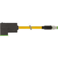 Murrelektronik Cable, M8 male, A-Code 3-pin, valve plug, 2-pin, 24V, PVC YEL, 2.0m