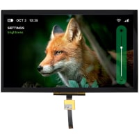 Newhaven Display International LPS LCD Display, 10.1 inch, LVDS Interface, Capactitive Touchscreen, EMI Filter