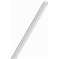 Osram Opto Semiconductors OSRAM LED TUBE ADV RO E/CAP 4FT 865