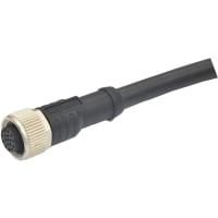 Amphenol LTW Technology Connector, M12 OVERMOLDING 17P F CONN F PIN NON-SHIELDED PUR L -1M