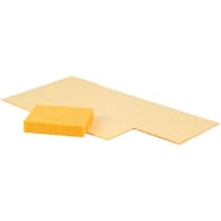 Plato Products Sponge (1/pk)