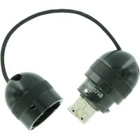 Amphenol Pcd Memory, Key, USB2.0, CodeAPOL, 4096MB, USBFTV6Series, w/Cap, forUSBFTVRecp