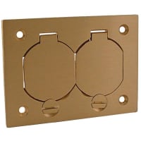 RACO Rectanglr Duplex Cover W Flip Lids - Brass