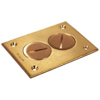 RACO Rect Floor Box 2 Plug Cover - Brass