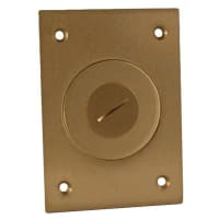 RACO Rect Floor Box 2-1/8"X1 Combo Plg Cover Brass