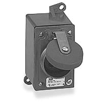 Russellstoll by ABB FD 20 Amp, Receptacle, 2 Pole 3 Wire, 250V, Screw Cap, without Box