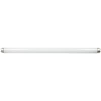 Ancor Bulb, Fluorscent Tube 15W 17.5" X 1.00" Pack