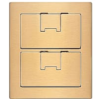 Steel City by ABB Two Gang Rectangular Floor Box Cover, 7.13"W x 8.25"L, Brass