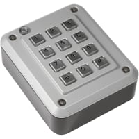 Storm Interface Keypad, Anti-Vandal, AXS Strike Master ES, Metal, 12-Keypad, Telephone, IP65, UL294