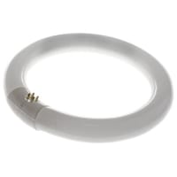 SYLVANIA 22 W Circular Fluorescent Tube, 210mm Diameter, 4000K