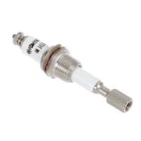 B/W Controls Electrode Plug, steam up to 450 PSI